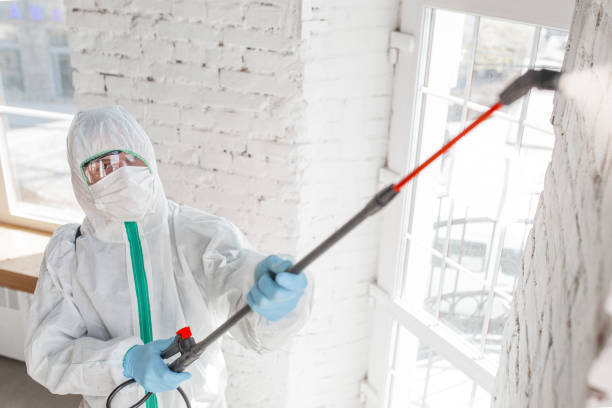  , SD Mold Removal Pros